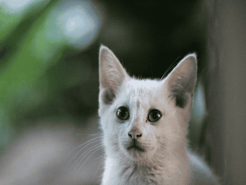 试管孕妇的眼泪，试管检查的危害